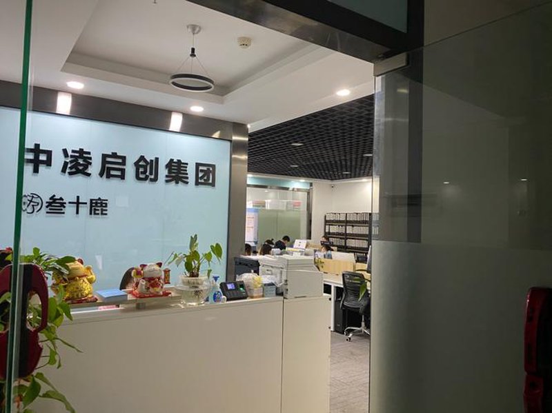 标志设计选购指南